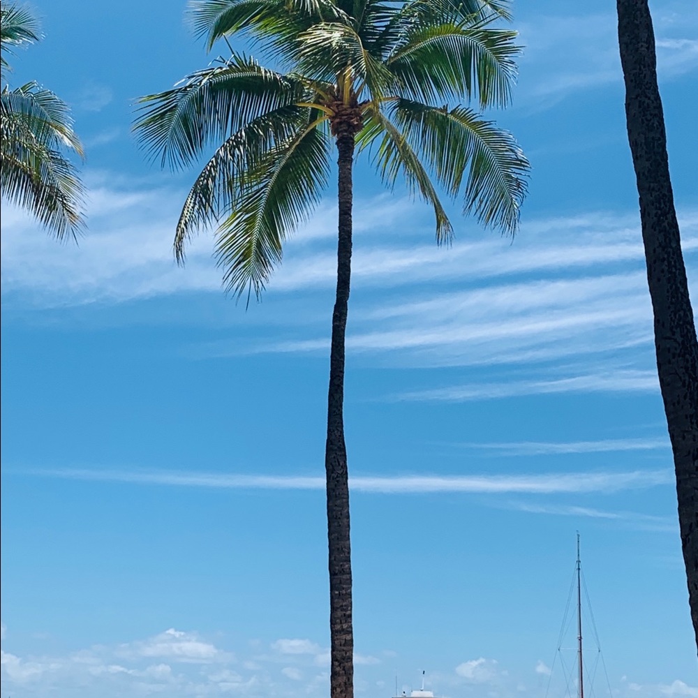 Meet your Posher, Martha